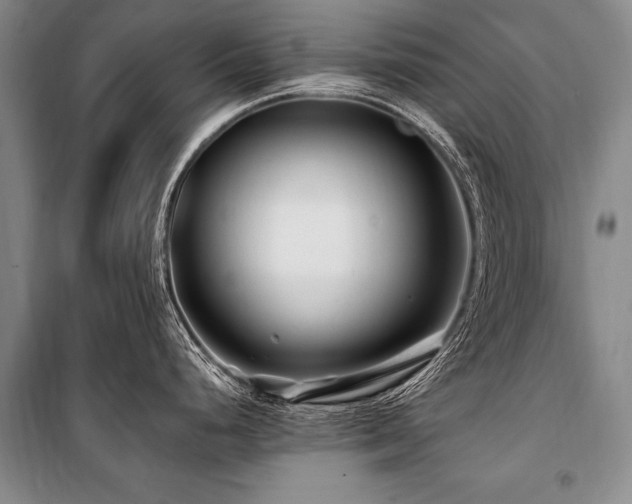 X0000101171248200806271026