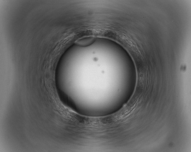 X0000101171249200806271025