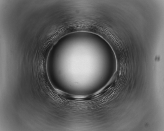 X0000101171250200806271025