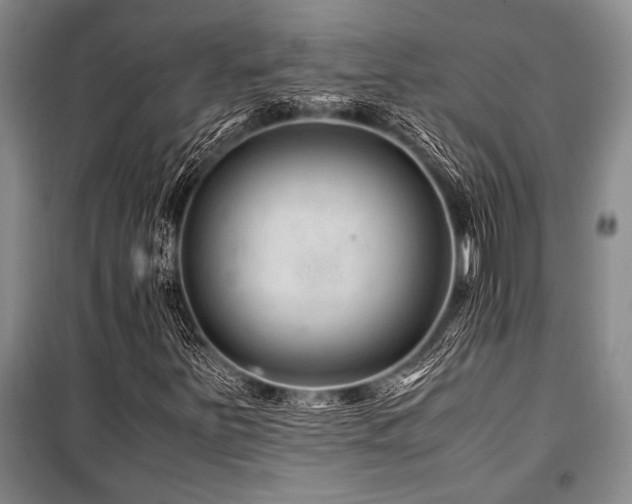 X0000101171251200806271025