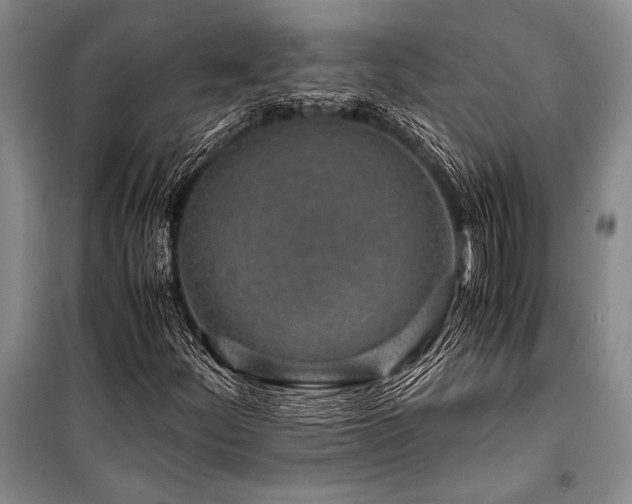 X0000101171252200806271025