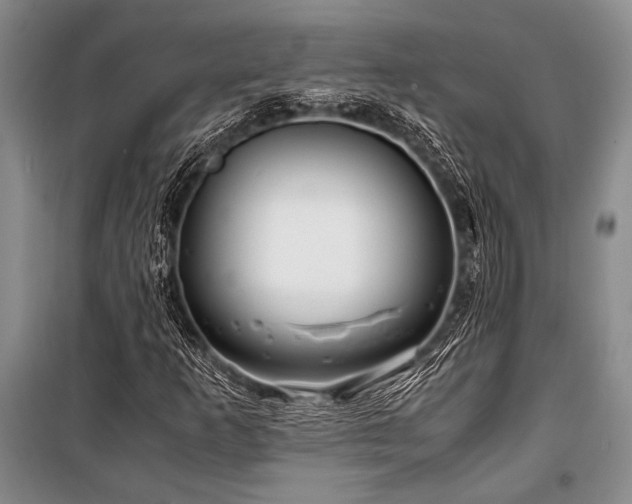 X0000101171253200806271025