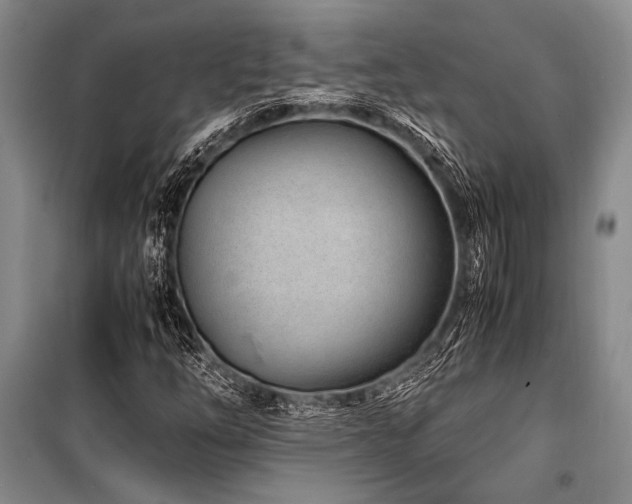 X0000101171254200806271025