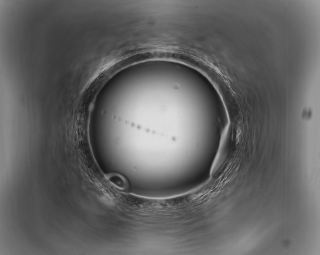 X0000101171255200806271025