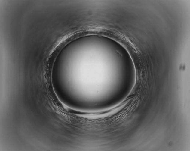 X0000101171256200806271025