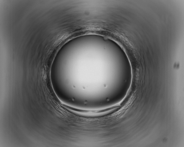 X0000101171257200806271025