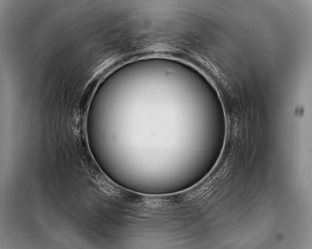 X0000101171258200806271025