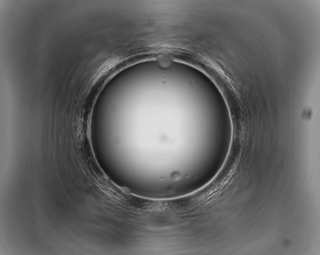 X0000101171259200806271025