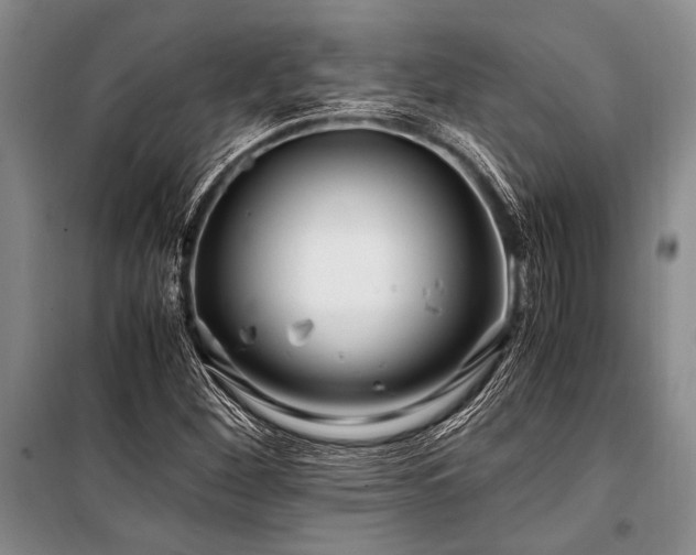 X0000101171260200806271025