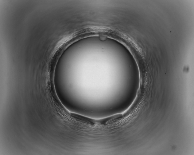 X0000101171261200806271025