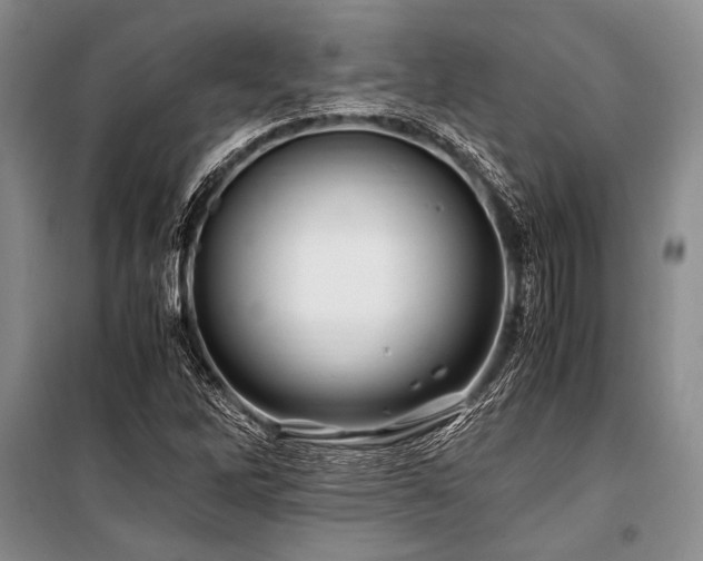 X0000101171262200806271025