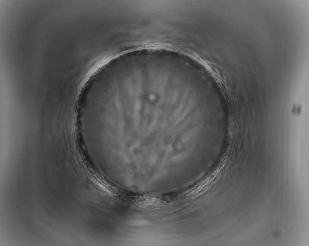 X0000101171263200806271025