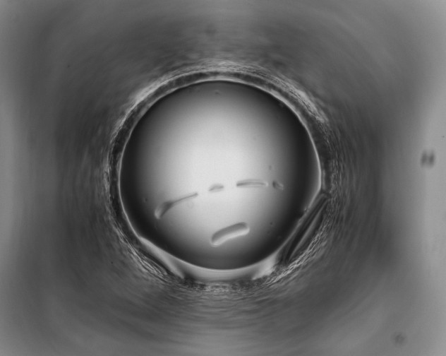 X0000101171264200806271025