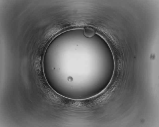 X0000101171265200806271025