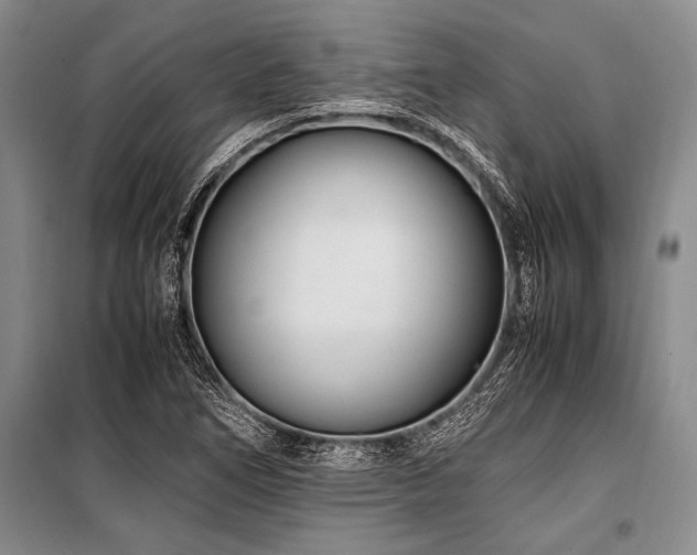 X0000101171266200806271025