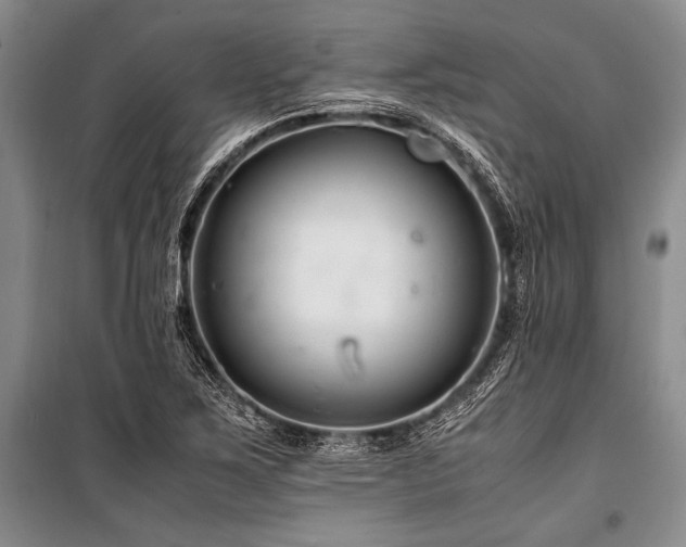 X0000101171267200806271025