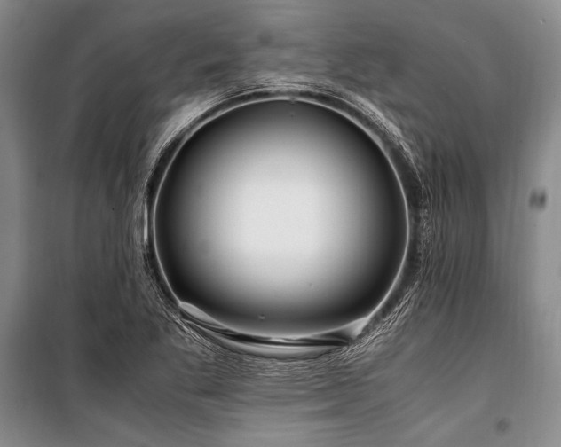 X0000101171269200806271025