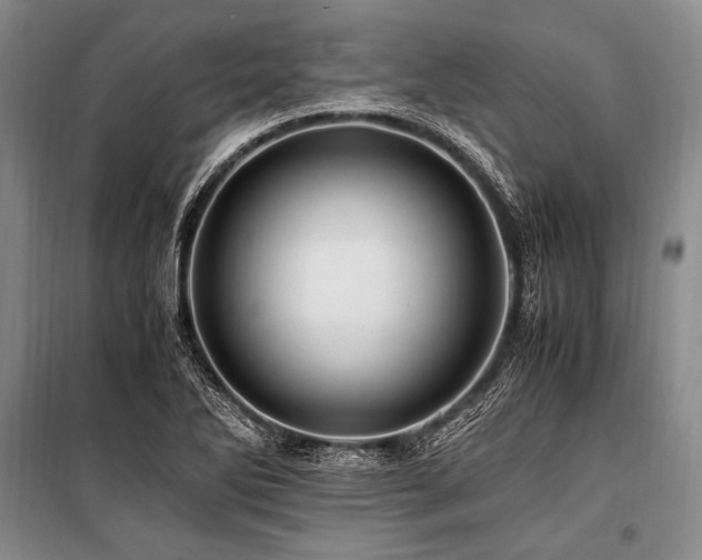 X0000101171270200806271025