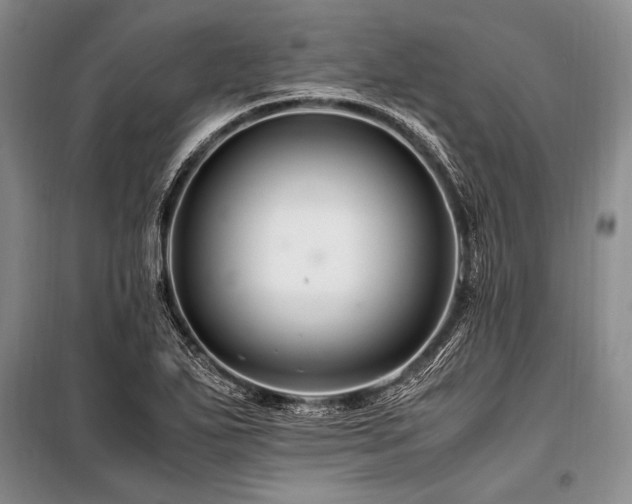 X0000101171271200806271025