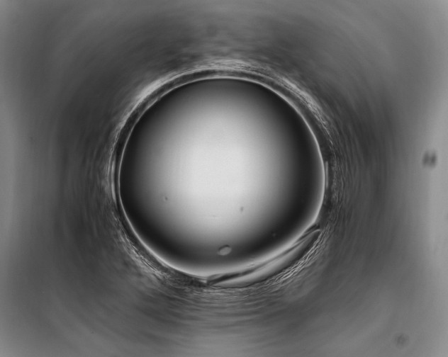 X0000101171272200806271025