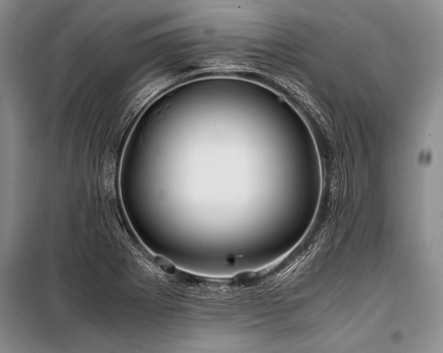 X0000101171273200806271025