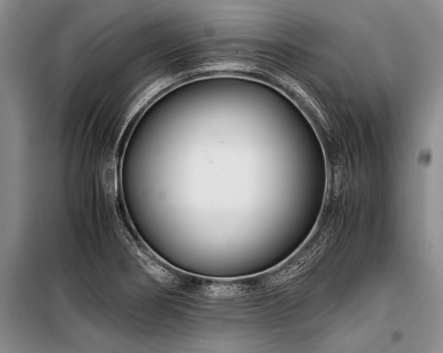 X0000101171274200806271025