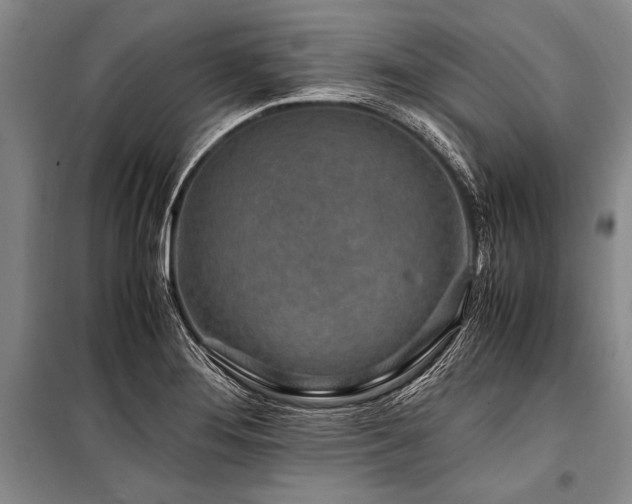 X0000101171276200806271025