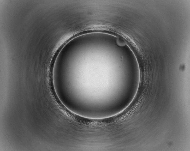 X0000101171277200806271025