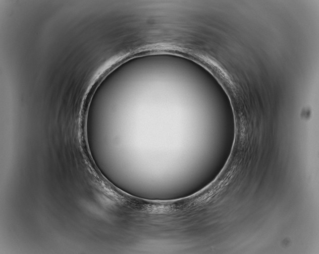 X0000101171278200806271025