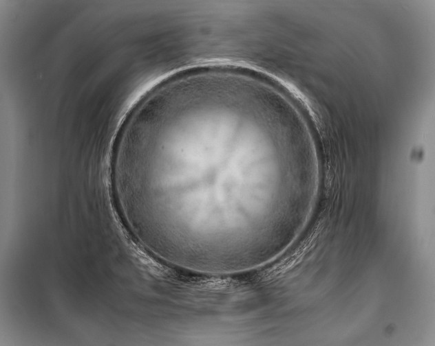 X0000101171279200806271025