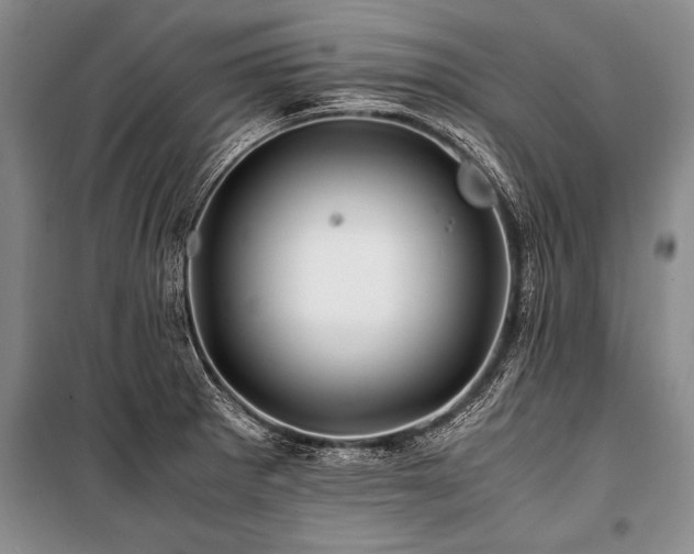 X0000101171281200806271025