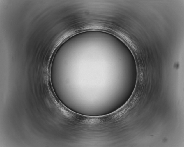 X0000101171282200806271025