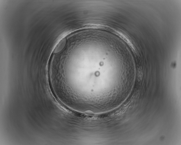 X0000101171283200806271025