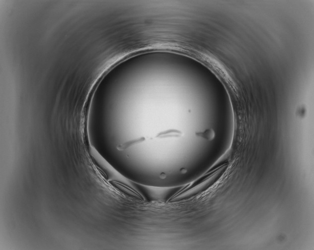 X0000101171284200806271025