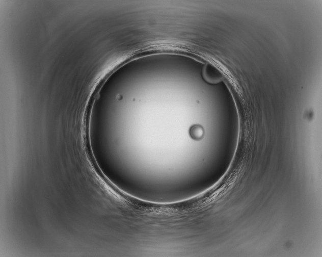 X0000101171285200806271025