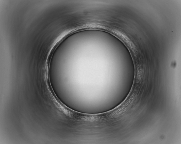 X0000101171286200806271025