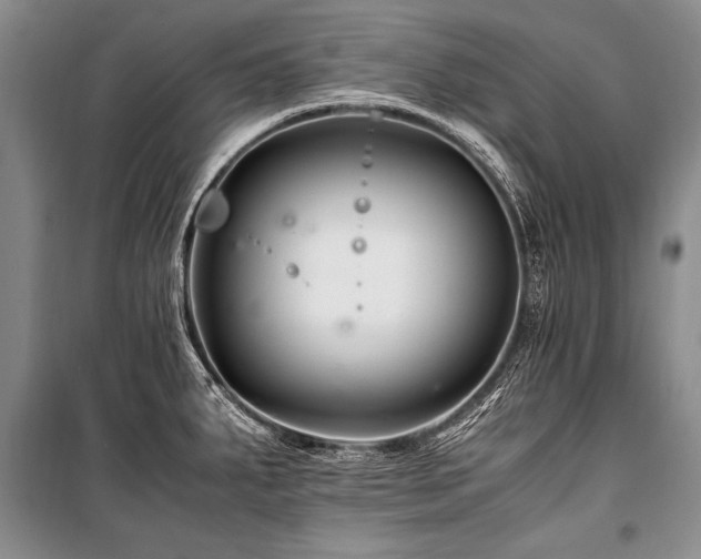 X0000101171287200806271025