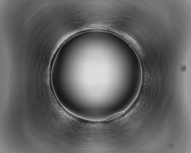 X0000101171288200806271025