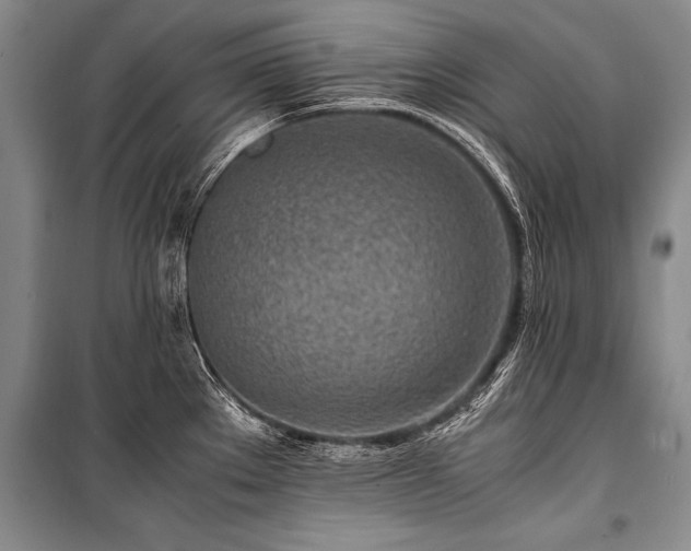 X0000101171289200806271025