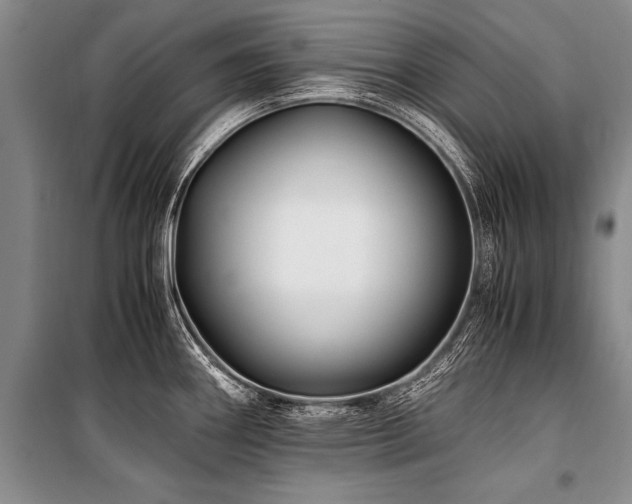 X0000101171290200806271025