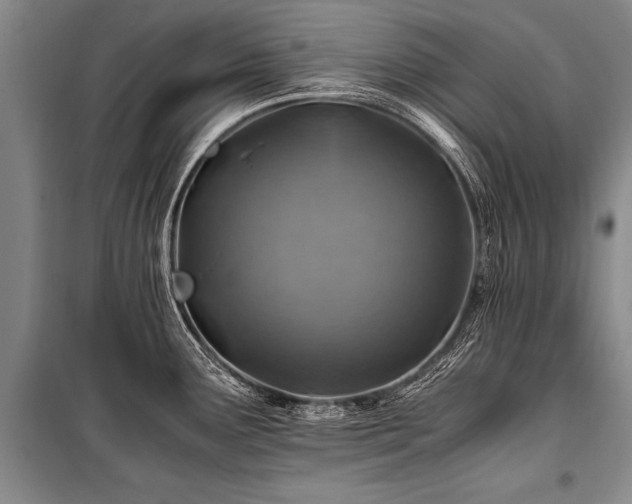 X0000101171291200806271025