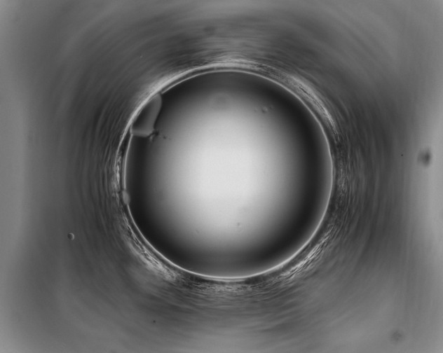 X0000101171292200806271025