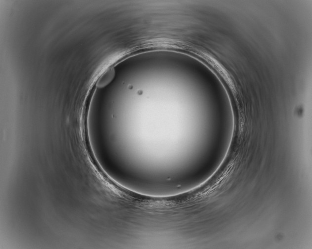 X0000101171293200806271025