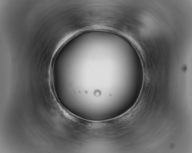 X0000101171294200806271025