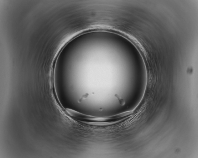 X0000101171295200806271025