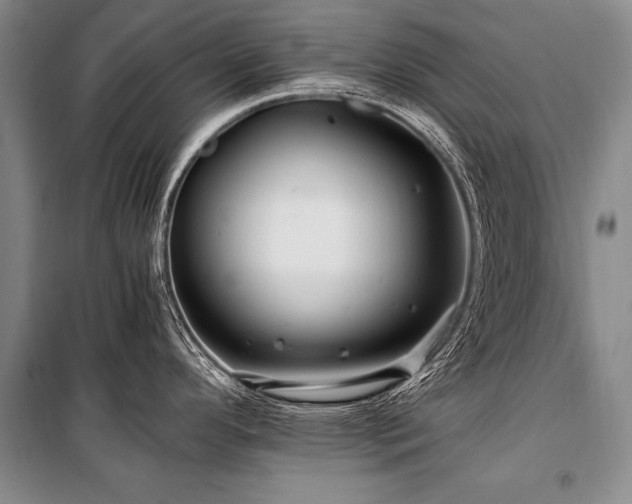 X0000101171296200806271025