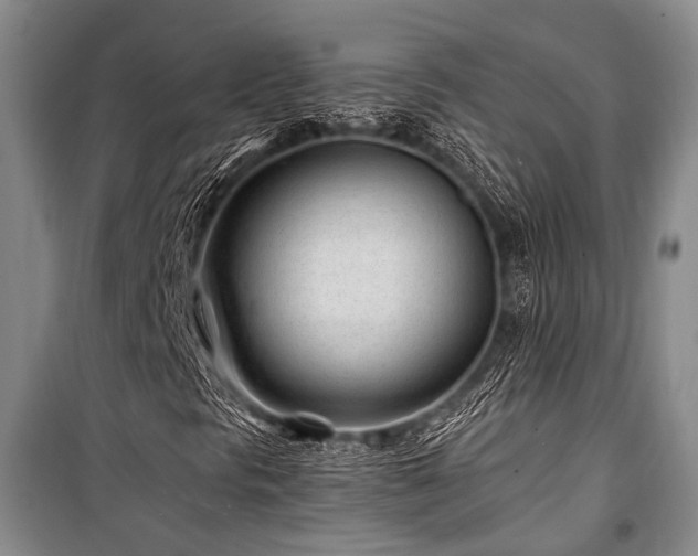 X0000101171297200806271024