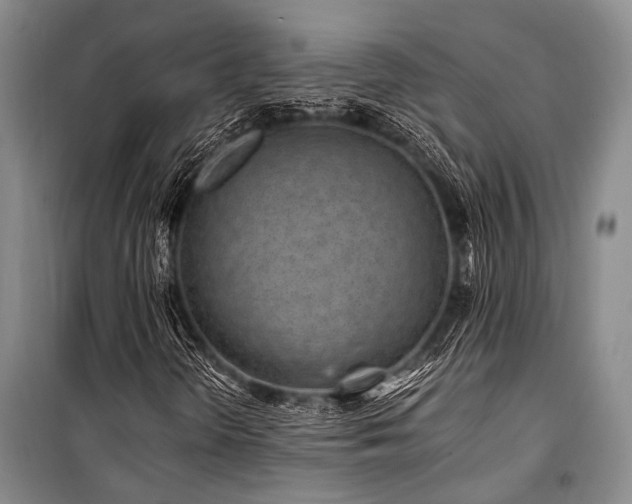 X0000101171298200806271024