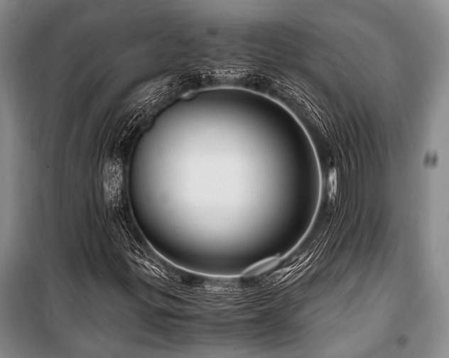 X0000101171299200806271024