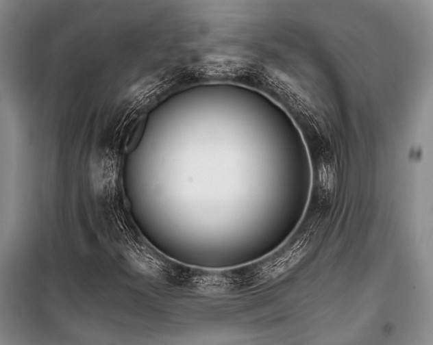 X0000101171300200806271024